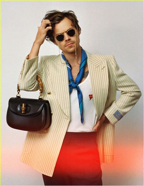 gucci serie harry styles|harry styles gucci.